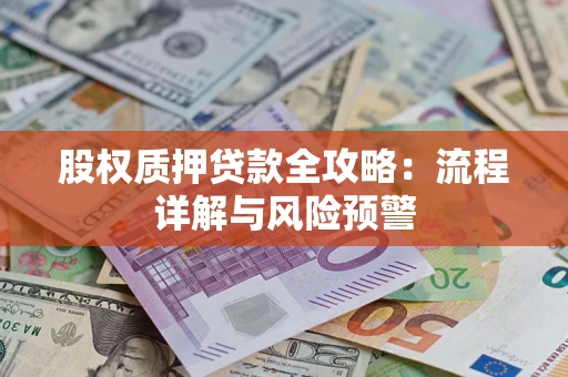 济南股权质押贷款全攻略：流程详解与风险预警