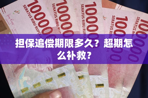 济南担保追偿期限多久？超期怎么补救？