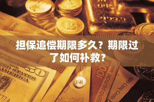 济南担保追偿期限多久？期限过了如何补救？
