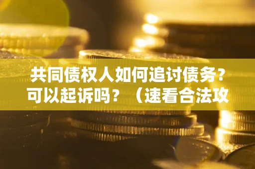 济南共同债权人如何追讨债务？可以起诉吗？（速看合法攻略）