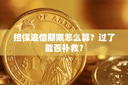 济南担保追偿期限怎么算？过了能否补救？
